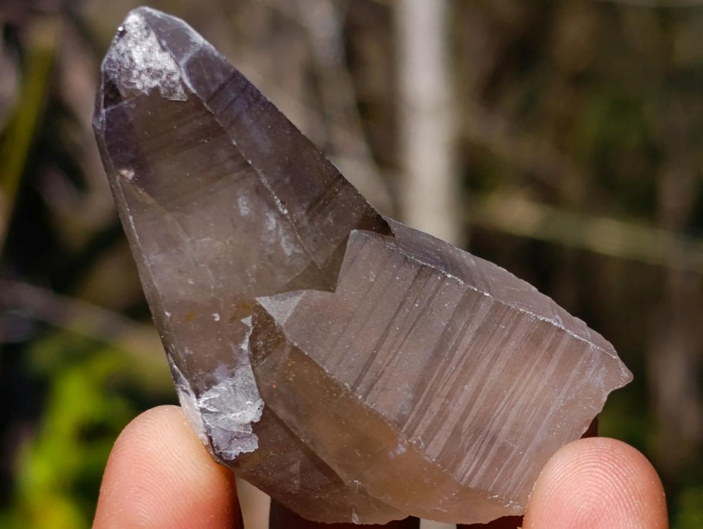Natural Smokey Quartz Crystals x 26 From Erongo, Namibia - Toprock Gemstones and Minerals 