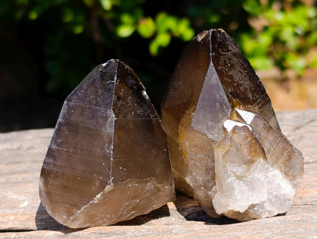 Natural Smokey Quartz Crystals x 26 From Erongo, Namibia - Toprock Gemstones and Minerals 