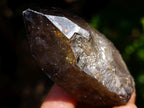 Natural Smokey Quartz Crystals x 26 From Erongo, Namibia - Toprock Gemstones and Minerals 