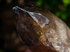 Natural Smokey Quartz Crystals x 26 From Erongo, Namibia - Toprock Gemstones and Minerals 