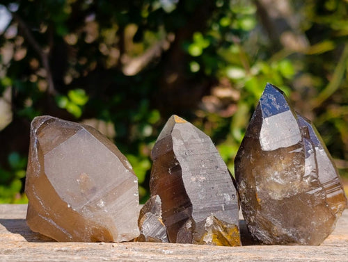 Natural Smokey Quartz Crystals x 26 From Erongo, Namibia - Toprock Gemstones and Minerals 