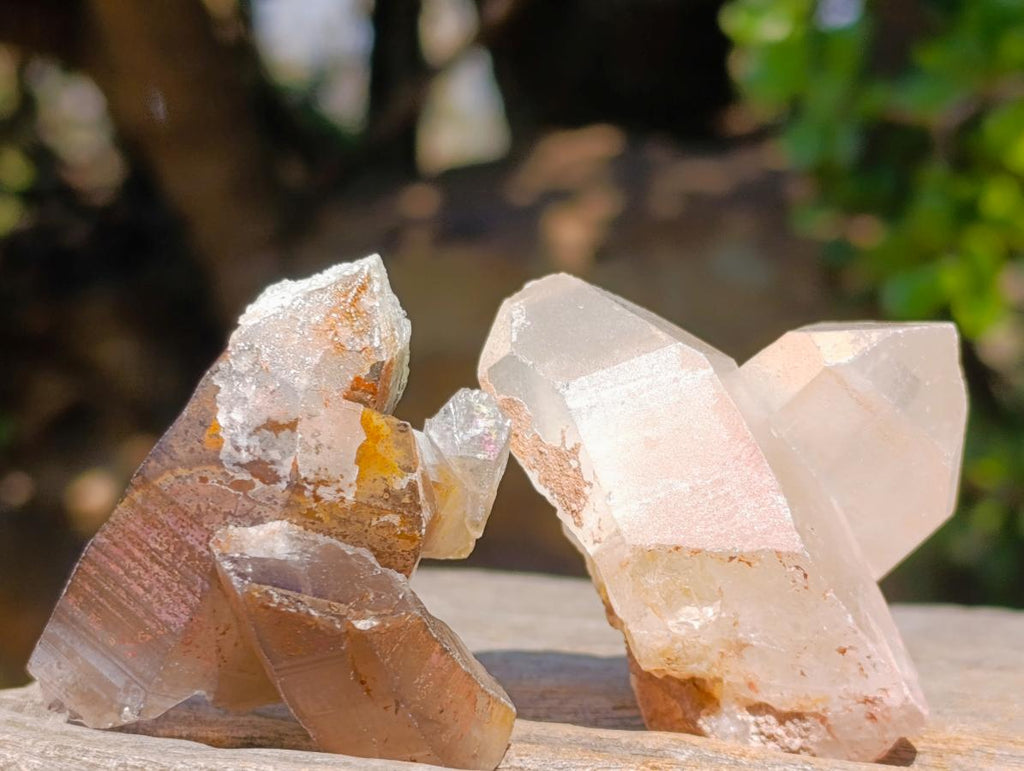 Natural Smokey Quartz Crystals x 26 From Erongo, Namibia - Toprock Gemstones and Minerals 