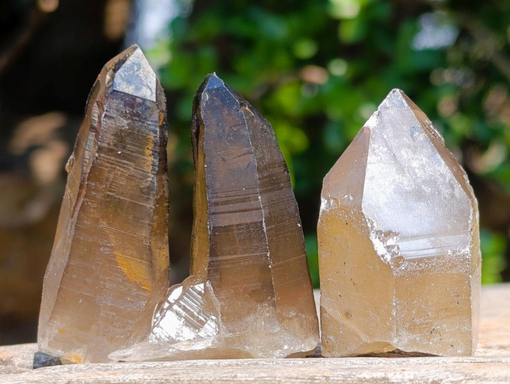 Natural Smokey Quartz Crystals x 26 From Erongo, Namibia - Toprock Gemstones and Minerals 