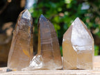 Natural Smokey Quartz Crystals x 26 From Erongo, Namibia - Toprock Gemstones and Minerals 