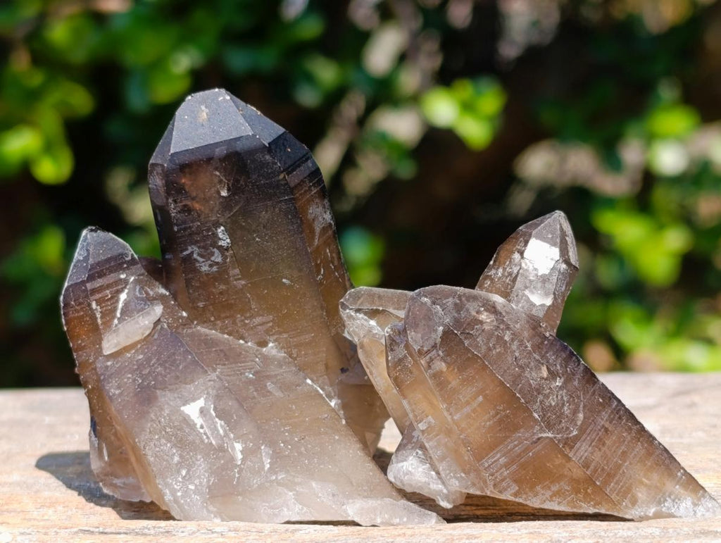 Natural Smokey Quartz Crystals x 26 From Erongo, Namibia - Toprock Gemstones and Minerals 