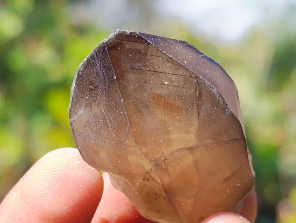 Natural Smokey Quartz Crystals x 26 From Erongo, Namibia - Toprock Gemstones and Minerals 