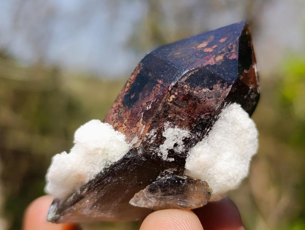 Natural Smokey Quartz Crystals x 26 From Erongo, Namibia - Toprock Gemstones and Minerals 