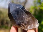 Natural Smokey Quartz Crystals x 26 From Erongo, Namibia - Toprock Gemstones and Minerals 