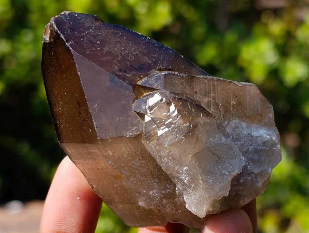Natural Smokey Quartz Crystals x 26 From Erongo, Namibia - Toprock Gemstones and Minerals 
