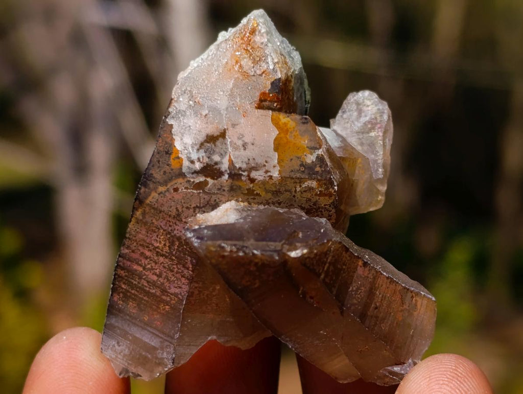 Natural Smokey Quartz Crystals x 26 From Erongo, Namibia - Toprock Gemstones and Minerals 