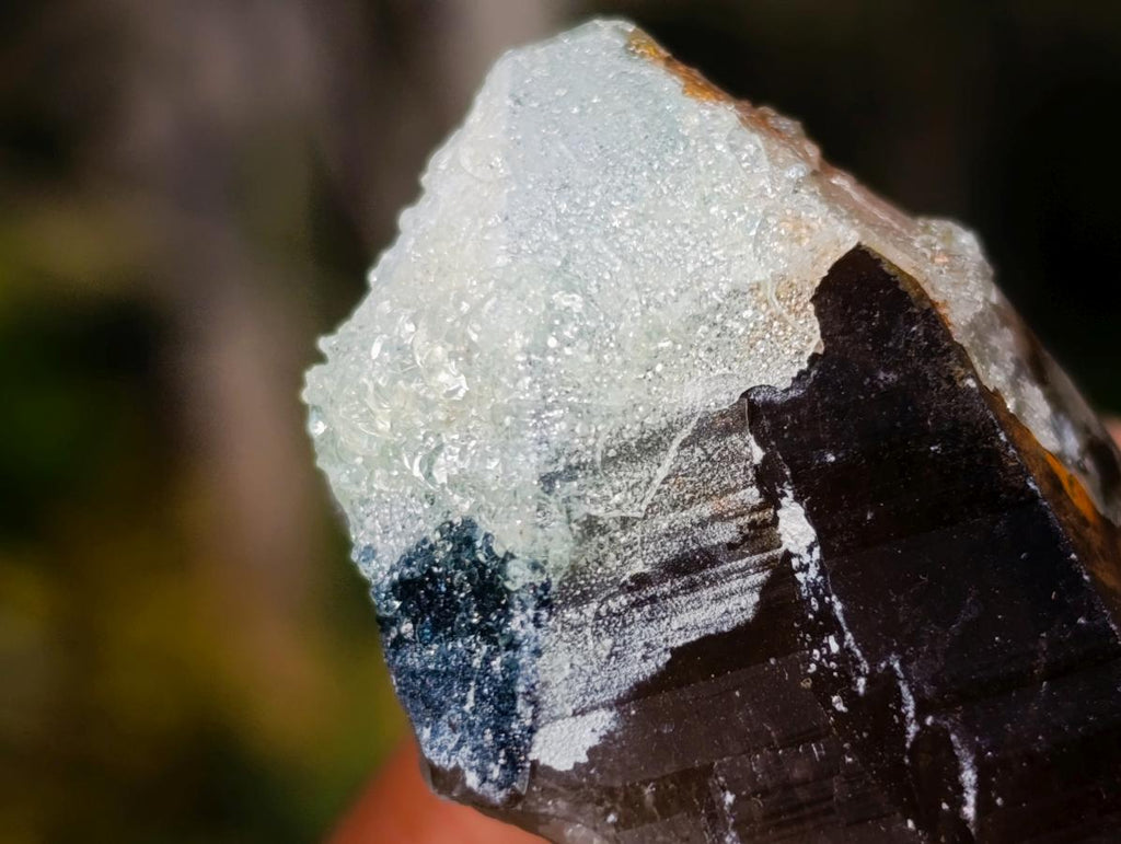 Natural Smokey Quartz Crystals x 26 From Erongo, Namibia - Toprock Gemstones and Minerals 
