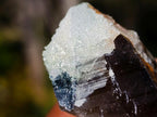 Natural Smokey Quartz Crystals x 26 From Erongo, Namibia - Toprock Gemstones and Minerals 
