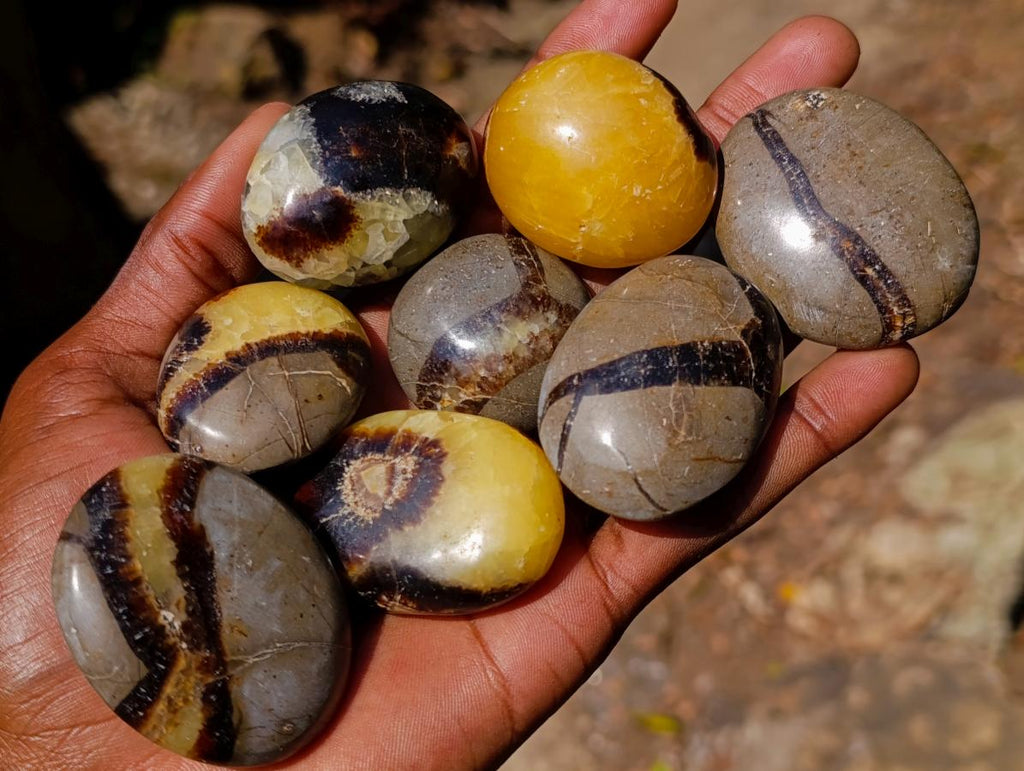 Polished Septerye Hearts and Galets x 12 From Mahajanga, Madagascar - Toprock Gemstones and Minerals 