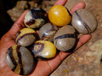 Polished Septerye Hearts and Galets x 12 From Mahajanga, Madagascar - Toprock Gemstones and Minerals 