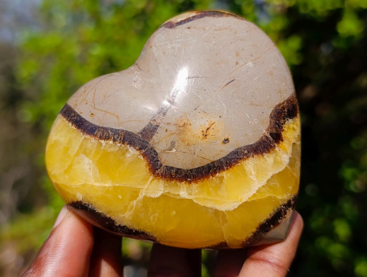 Polished Septerye Hearts and Galets x 12 From Mahajanga, Madagascar - Toprock Gemstones and Minerals 