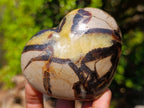 Polished Septerye Hearts and Galets x 12 From Mahajanga, Madagascar - Toprock Gemstones and Minerals 
