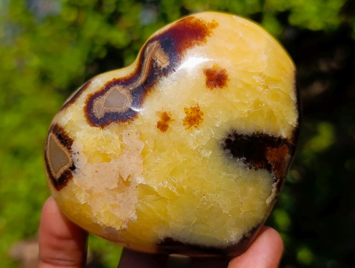 Polished Septerye Hearts and Galets x 12 From Mahajanga, Madagascar - Toprock Gemstones and Minerals 