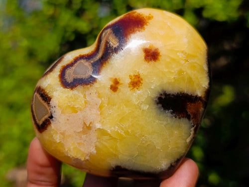 Polished Septerye Hearts and Galets x 12 From Mahajanga, Madagascar - Toprock Gemstones and Minerals 