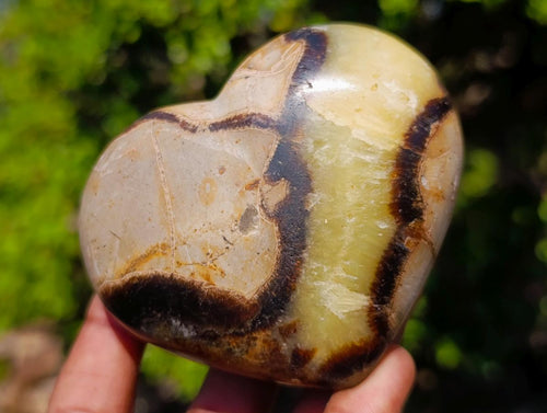 Polished Septerye Hearts and Galets x 12 From Mahajanga, Madagascar - Toprock Gemstones and Minerals 