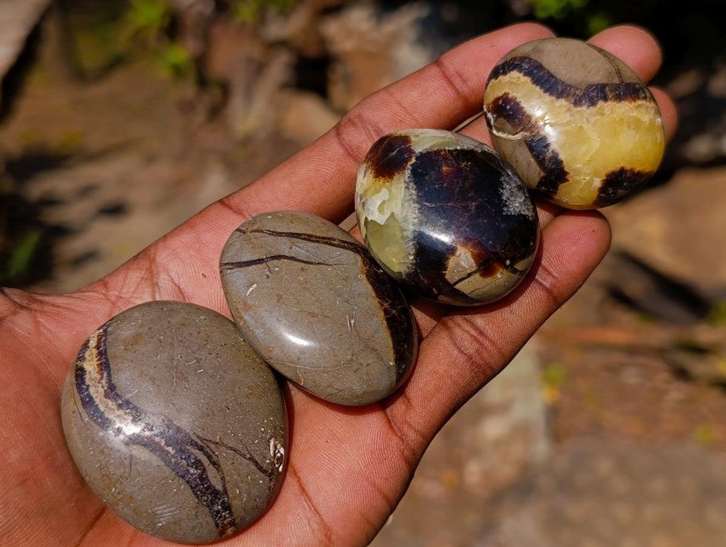 Polished Septerye Hearts and Galets x 12 From Mahajanga, Madagascar - Toprock Gemstones and Minerals 