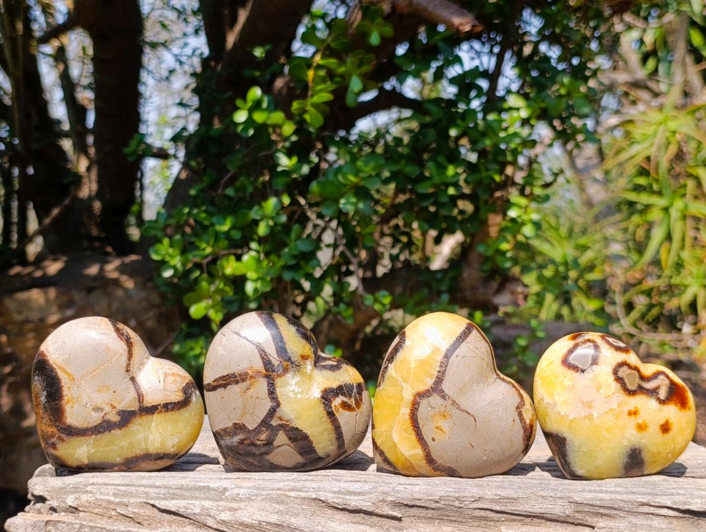 Polished Septerye Hearts and Galets x 12 From Mahajanga, Madagascar - Toprock Gemstones and Minerals 