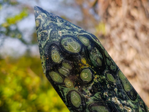 Polished XL Stromatolite "Kambamba Jasper" Long Tower x 1 From Katsepy, Madagascar - Toprock Gemstones and Minerals 