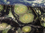 Polished XL Stromatolite "Kambamba Jasper" Long Tower x 1 From Katsepy, Madagascar - Toprock Gemstones and Minerals 