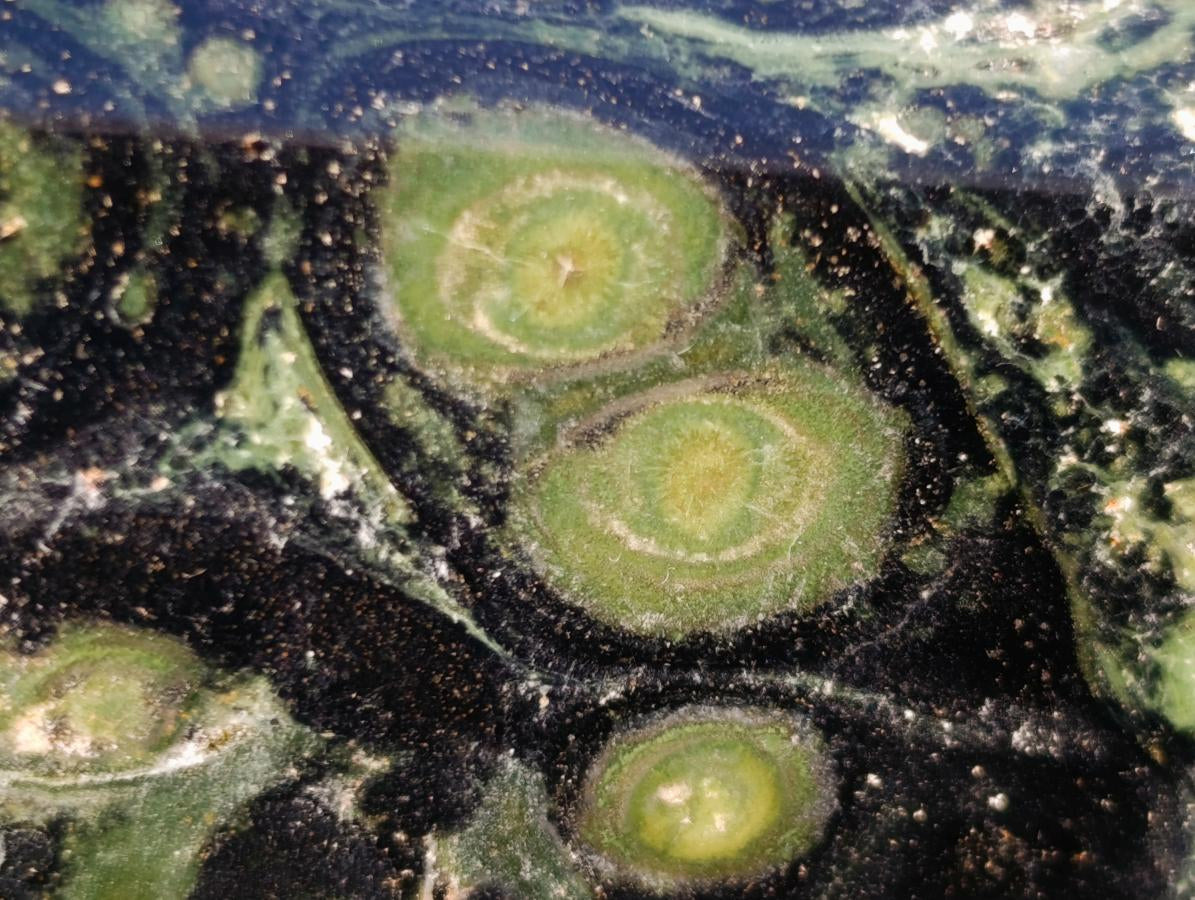 Polished XL Stromatolite "Kambamba Jasper" Long Tower x 1 From Katsepy, Madagascar - Toprock Gemstones and Minerals 