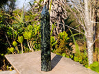 Polished XL Stromatolite "Kambamba Jasper" Long Tower x 1 From Katsepy, Madagascar - Toprock Gemstones and Minerals 