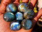 Polished Rounded Labradorite Jewellery Size Free Forms x 70 From Madagascar - Toprock Gemstones and Minerals 
