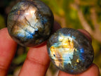 Polished Rounded Labradorite Jewellery Size Free Forms x 70 From Madagascar - Toprock Gemstones and Minerals 