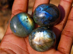 Polished Rounded Labradorite Jewellery Size Free Forms x 70 From Madagascar - Toprock Gemstones and Minerals 