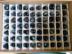 Polished Rounded Labradorite Jewellery Size Free Forms x 70 From Madagascar - Toprock Gemstones and Minerals 