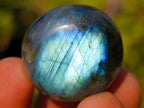 Polished Rounded Labradorite Jewellery Size Free Forms x 70 From Madagascar - Toprock Gemstones and Minerals 