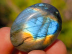 Polished Rounded Labradorite Jewellery Size Free Forms x 70 From Madagascar - Toprock Gemstones and Minerals 