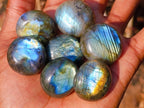 Polished Rounded Labradorite Jewellery Size Free Forms x 70 From Madagascar - Toprock Gemstones and Minerals 
