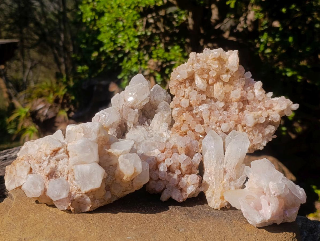 Natural Malagasy Quartz Clusters x 6 From Madagascar - Toprock Gemstones and Minerals 