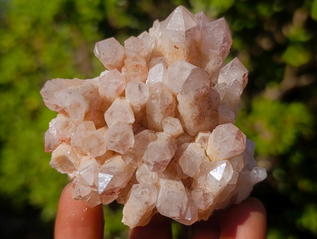 Natural Malagasy Quartz Clusters x 6 From Madagascar - Toprock Gemstones and Minerals 