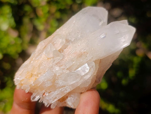 Natural Malagasy Quartz Clusters x 6 From Madagascar - Toprock Gemstones and Minerals 