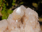 Natural Malagasy Quartz Clusters x 6 From Madagascar - Toprock Gemstones and Minerals 