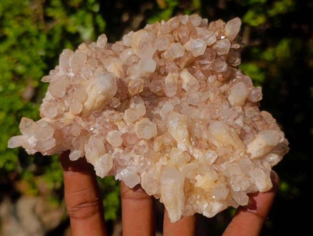 Natural Malagasy Quartz Clusters x 6 From Madagascar - Toprock Gemstones and Minerals 