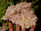 Natural Malagasy Quartz Clusters x 6 From Madagascar - Toprock Gemstones and Minerals 