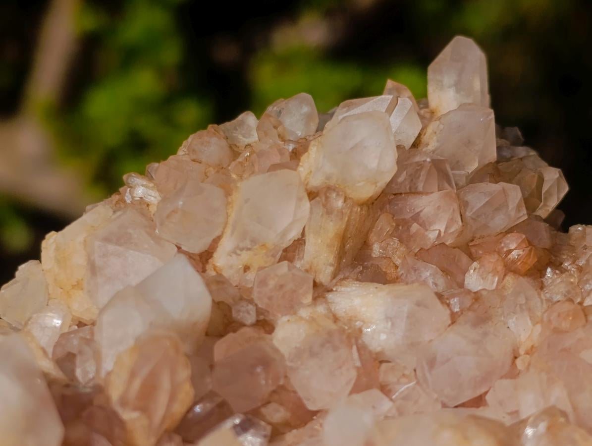 Natural Malagasy Quartz Clusters x 6 From Madagascar - Toprock Gemstones and Minerals 