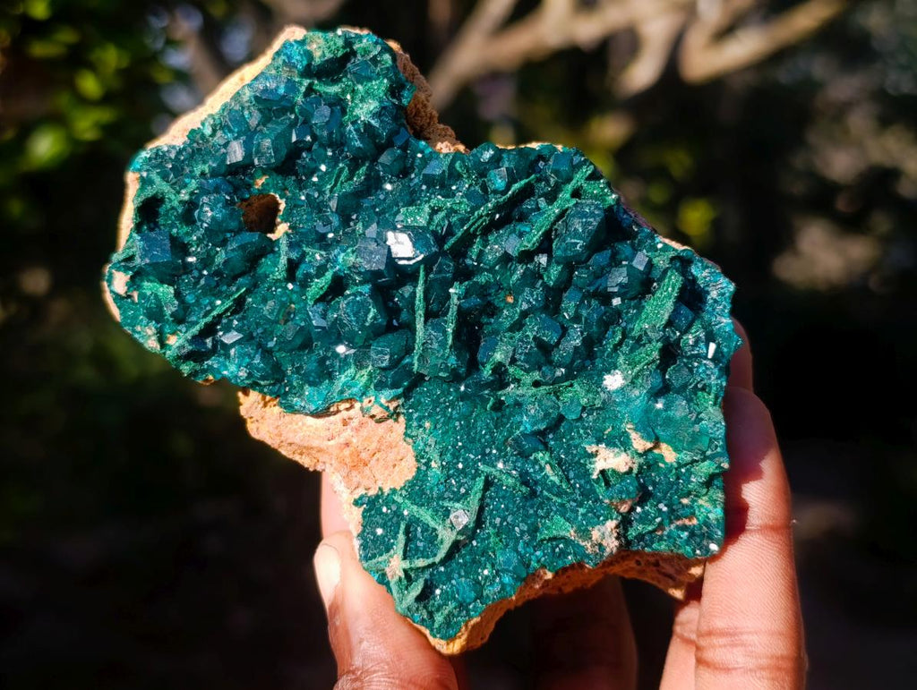 Natural Cabinet Size Dioptase Specimens with Crystalline Malachite on Dolomite x 2 From Mashamba East Mine, Congo - Toprock Gemstones and Minerals 