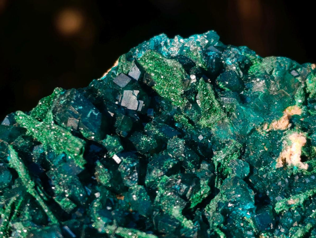 Natural Cabinet Size Dioptase Specimens with Crystalline Malachite on Dolomite x 2 From Mashamba East Mine, Congo - Toprock Gemstones and Minerals 
