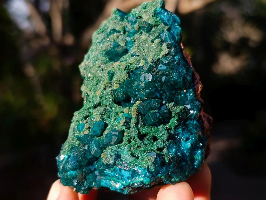 Natural Cabinet Size Dioptase Specimens with Crystalline Malachite on Dolomite x 2 From Mashamba East Mine, Congo - Toprock Gemstones and Minerals 