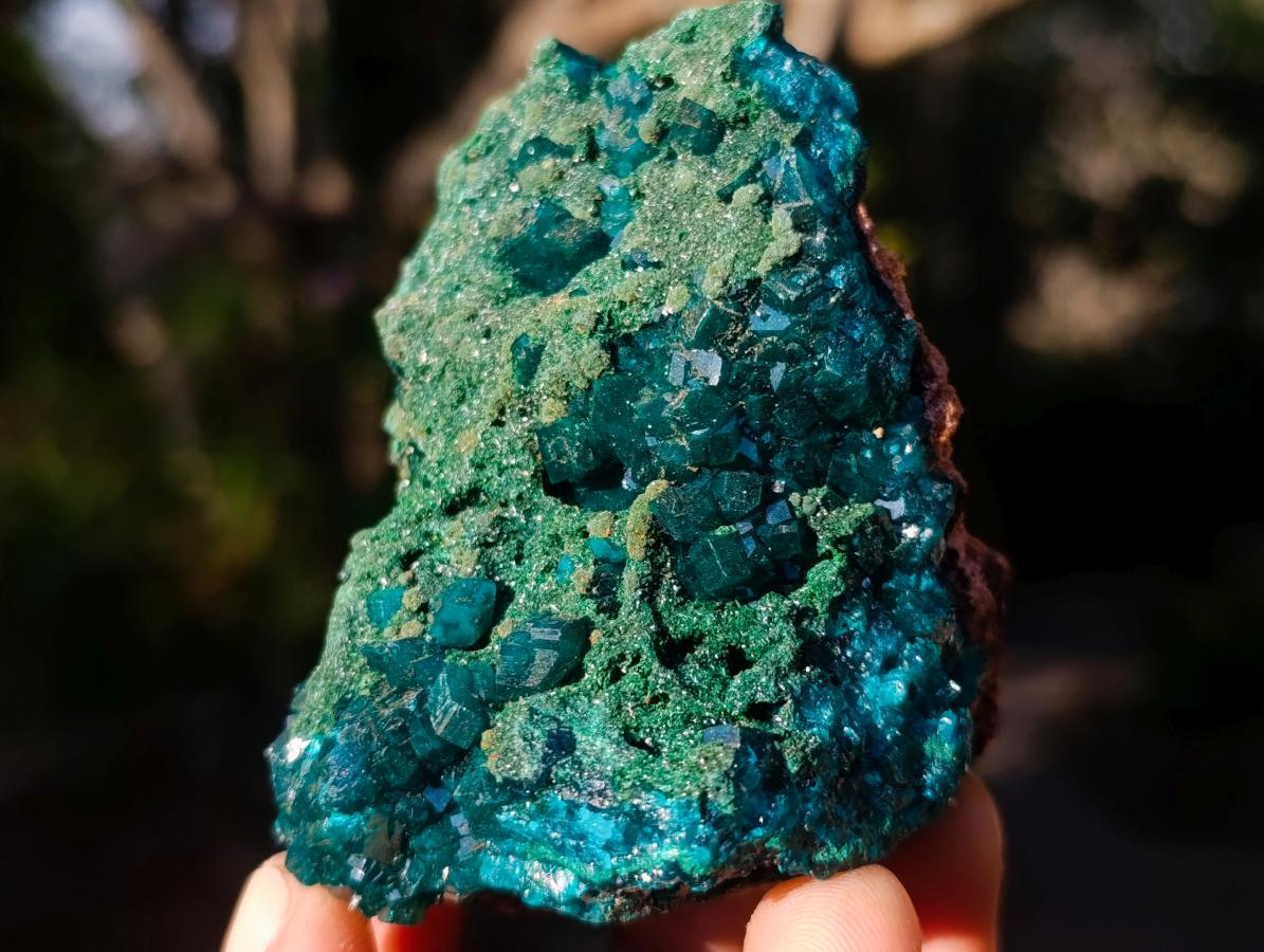 Natural Cabinet Size Dioptase Specimens with Crystalline Malachite on Dolomite x 2 From Mashamba East Mine, Congo - Toprock Gemstones and Minerals 