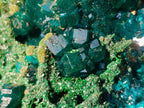 Natural Cabinet Size Dioptase Specimens with Crystalline Malachite on Dolomite x 2 From Mashamba East Mine, Congo - Toprock Gemstones and Minerals 