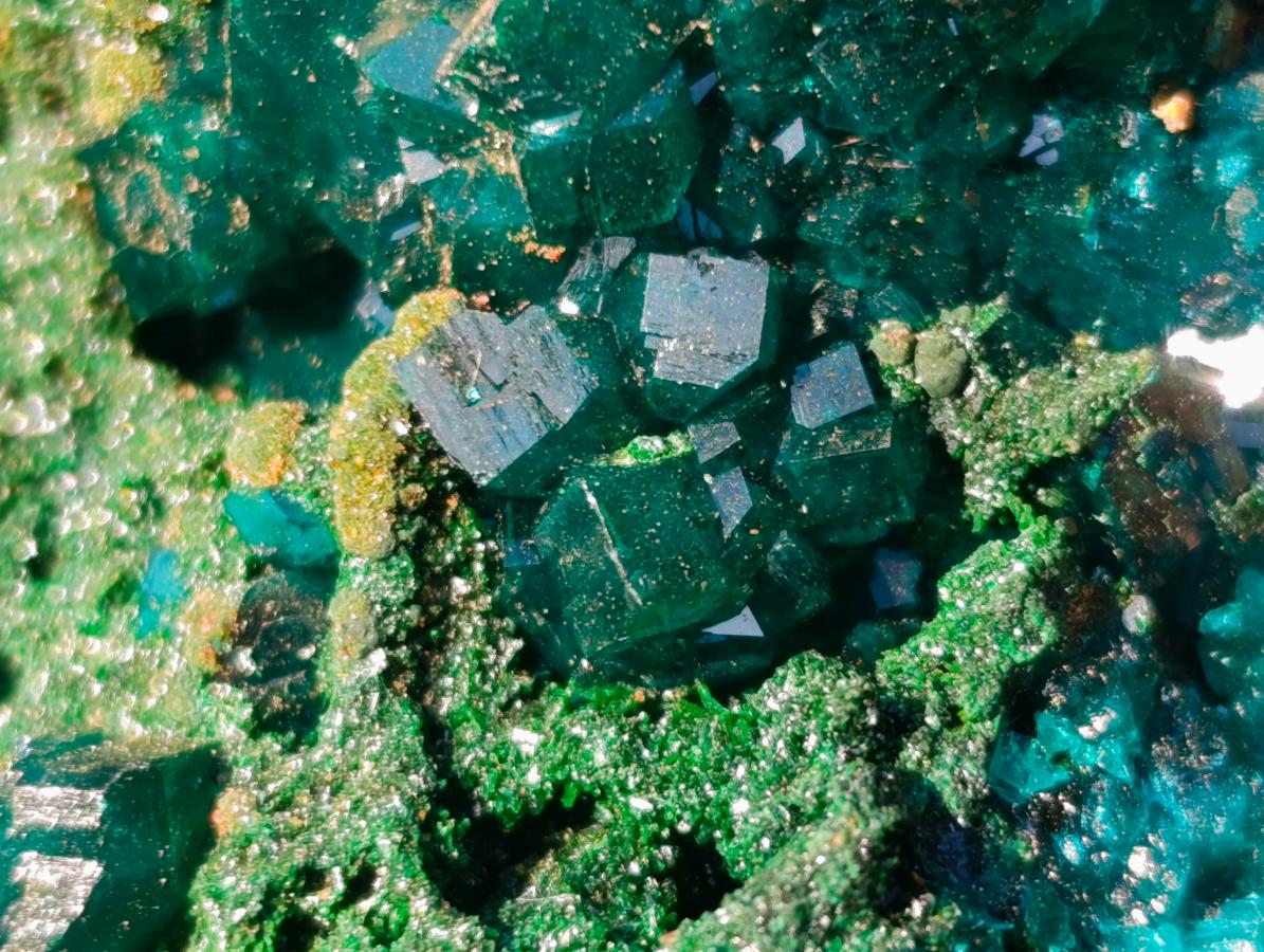 Natural Cabinet Size Dioptase Specimens with Crystalline Malachite on Dolomite x 2 From Mashamba East Mine, Congo - Toprock Gemstones and Minerals 