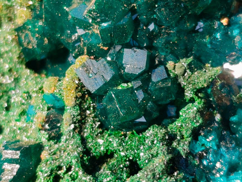 Natural Cabinet Size Dioptase Specimens with Crystalline Malachite on Dolomite x 2 From Mashamba East Mine, Congo - Toprock Gemstones and Minerals 